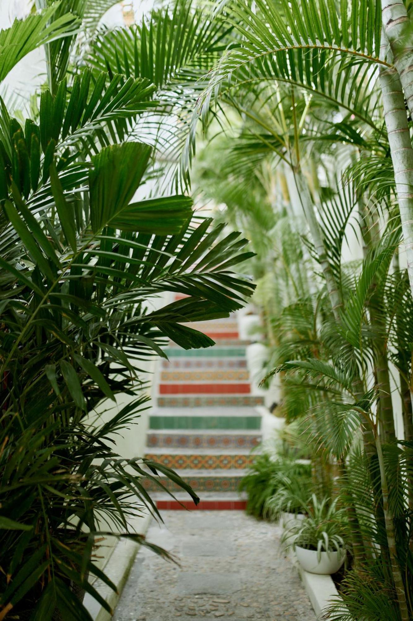 Hotel Ysuri Bucerías Exterior foto